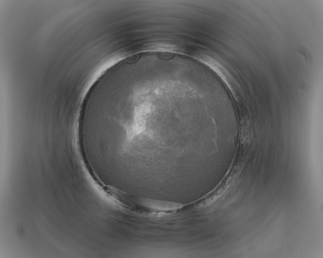 X0000112971139200909101647