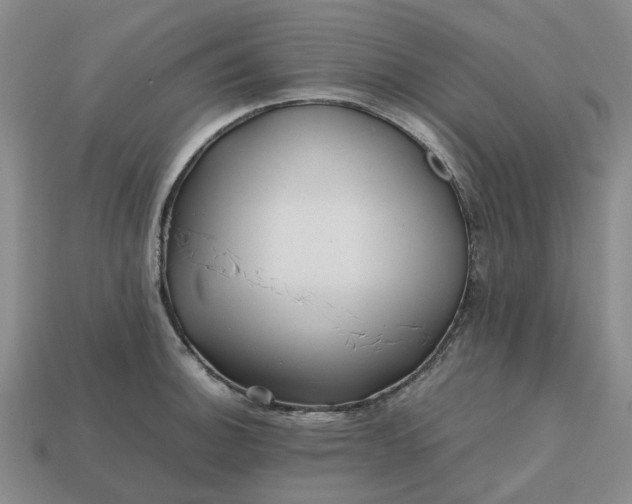 X0000112971140200909101647