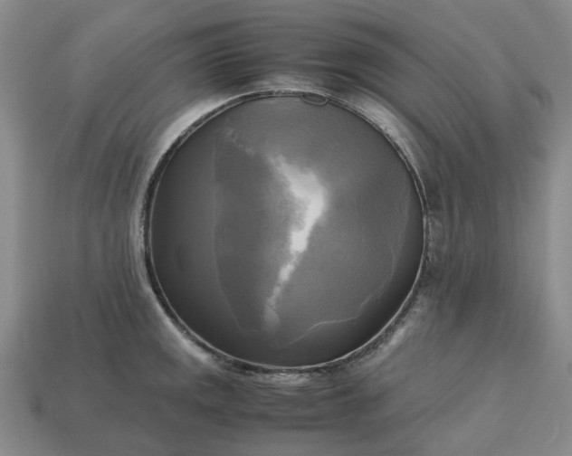 X0000112971141200909101648