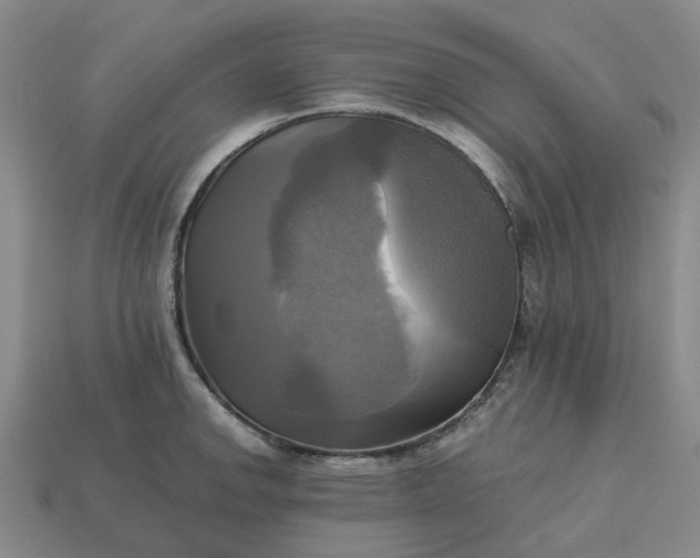 X0000112971142200909101648