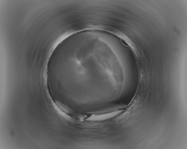 X0000112971143200909101648