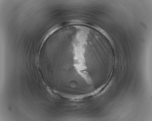 X0000112971145200909101648