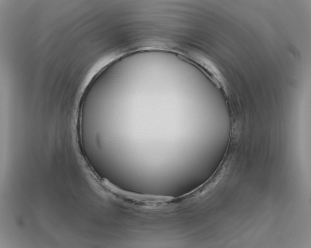 X0000112971146200909101648