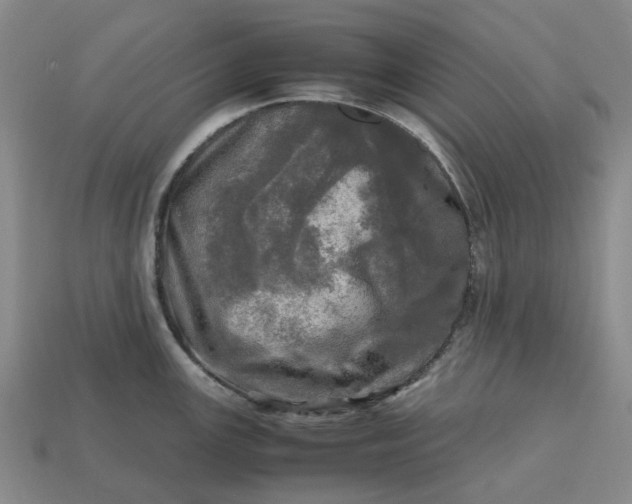 X0000112971147200909101648