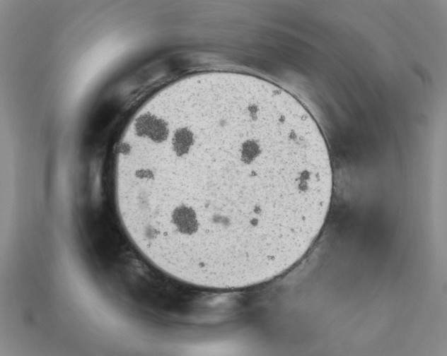 X0000112971150200909101648