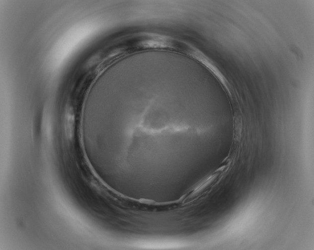 X0000112971151200909101648