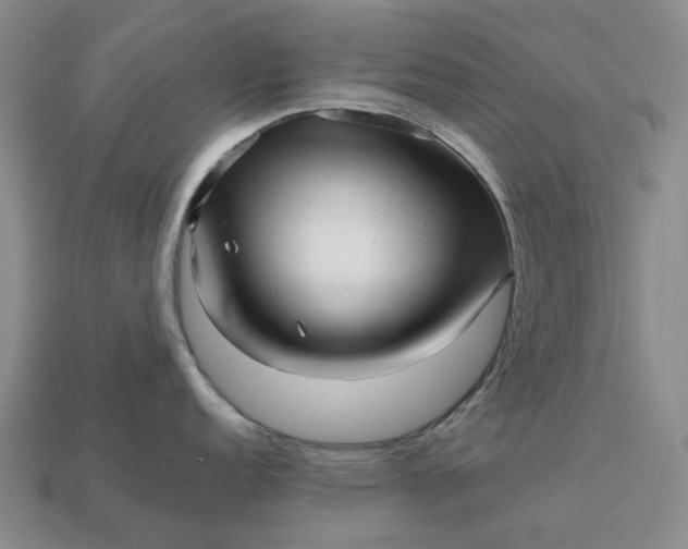 X0000112971152200909101648