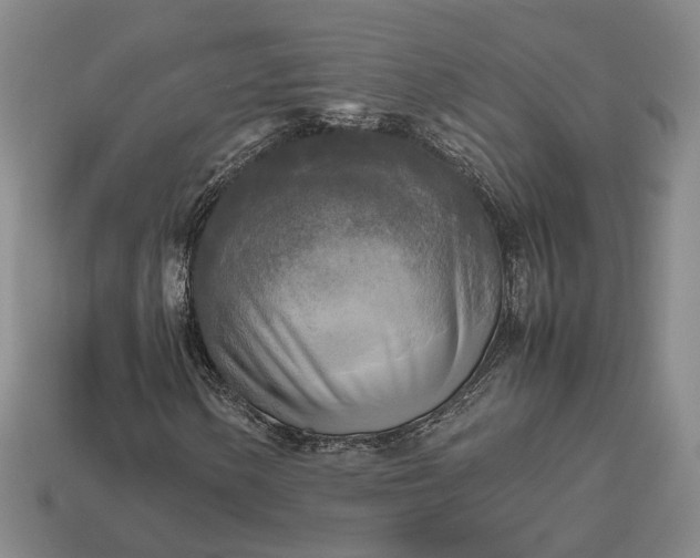 X0000112971154200909101647