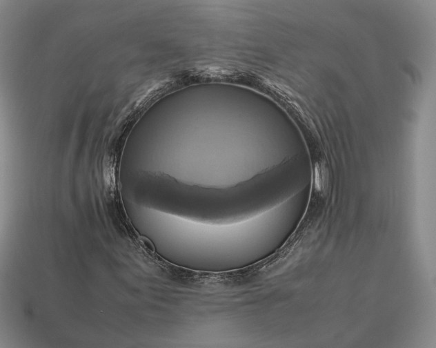 X0000112971155200909101647