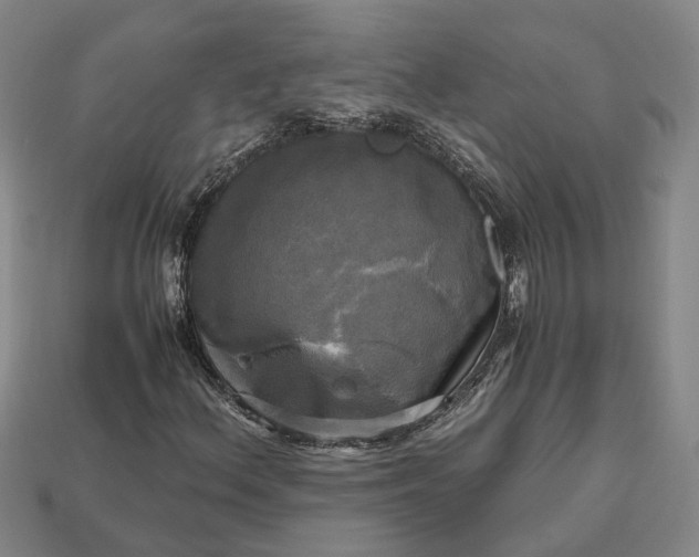 X0000112971156200909101647