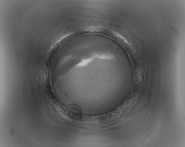 X0000112971158200909101647