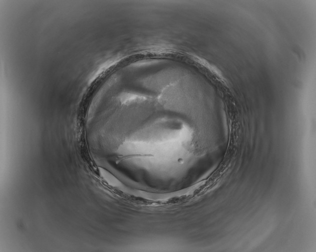 X0000112971160200909101647