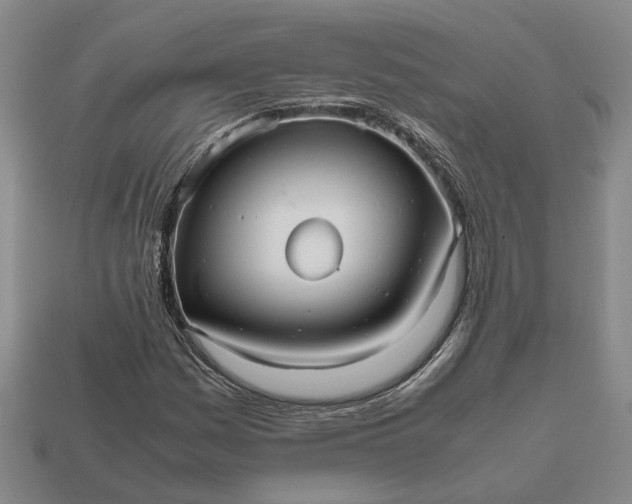 X0000112971161200909101647