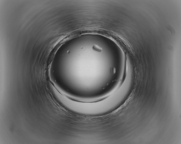 X0000112971162200909101647