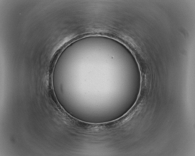 X0000112971165200909101647