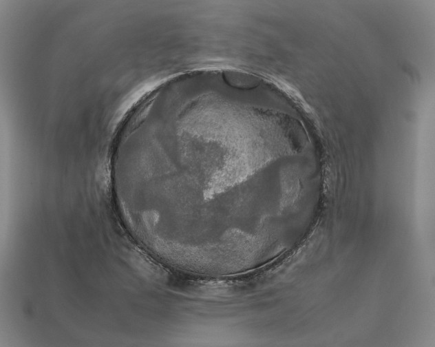 X0000112971167200909101647