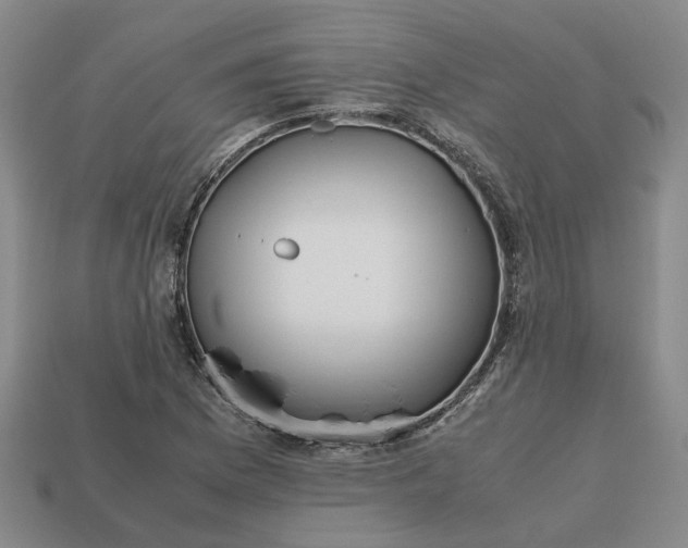 X0000112971169200909101647