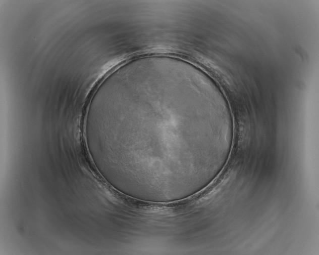 X0000112971170200909101647