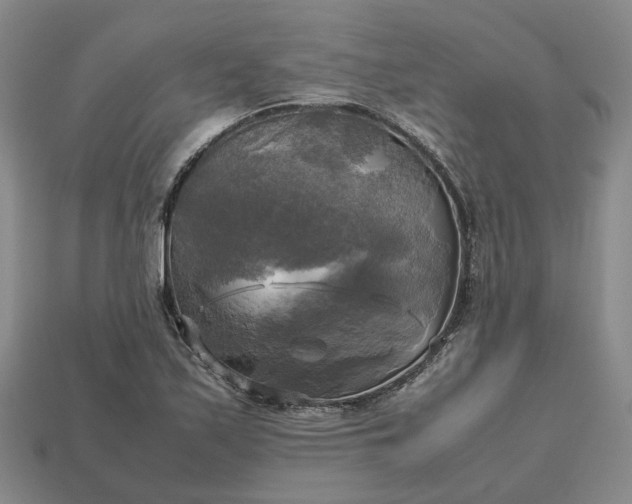 X0000112971171200909101647