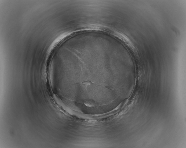 X0000112971172200909101647