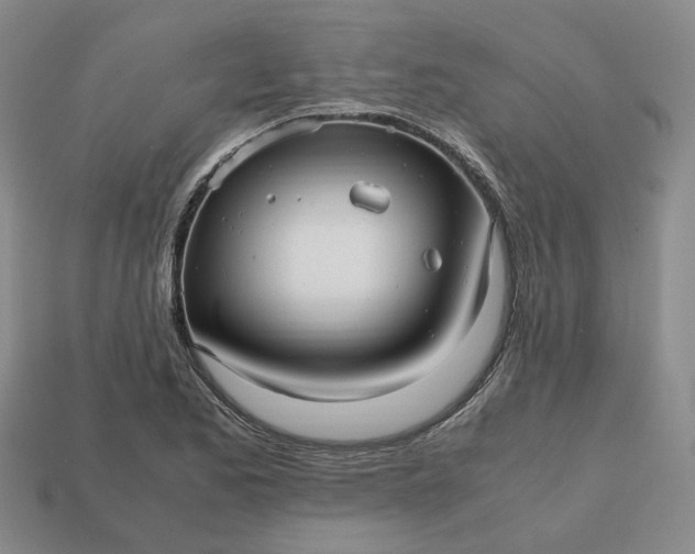 X0000112971173200909101647