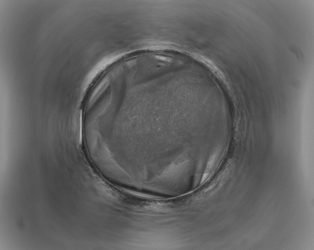 X0000112971175200909101647