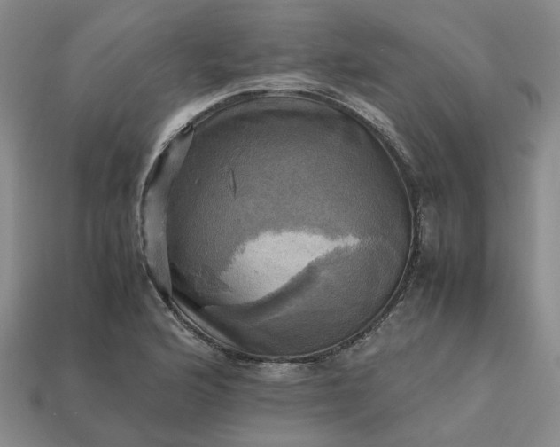 X0000112971176200909101647