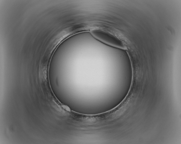 X0000112971177200909101647