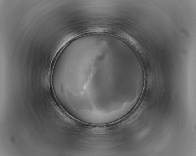 X0000112971178200909101647