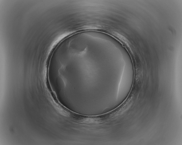 X0000112971179200909101647