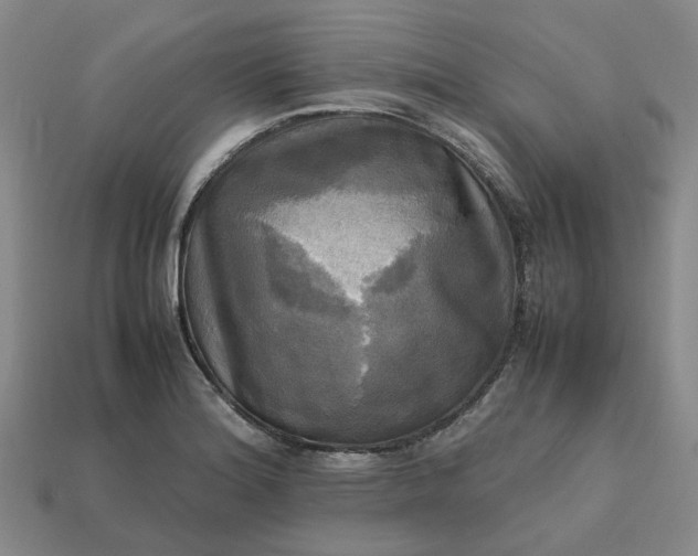 X0000112971180200909101647