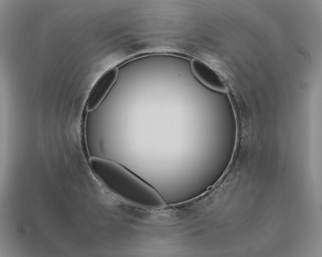 X0000112971181200909101647