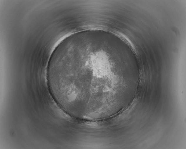 X0000112971182200909101647