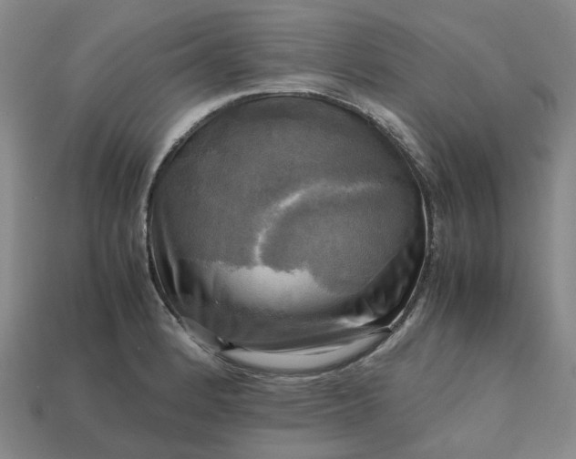 X0000112971184200909101647