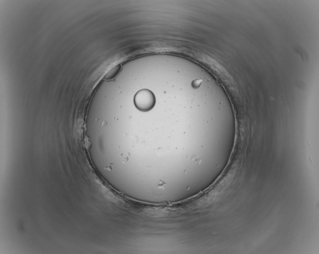 X0000112971185200909101647