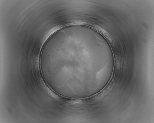 X0000112971186200909101647