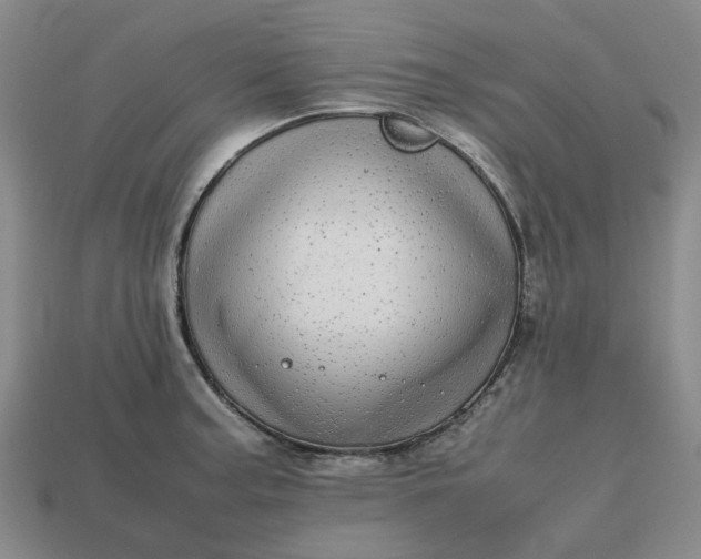 X0000112971187200909101647