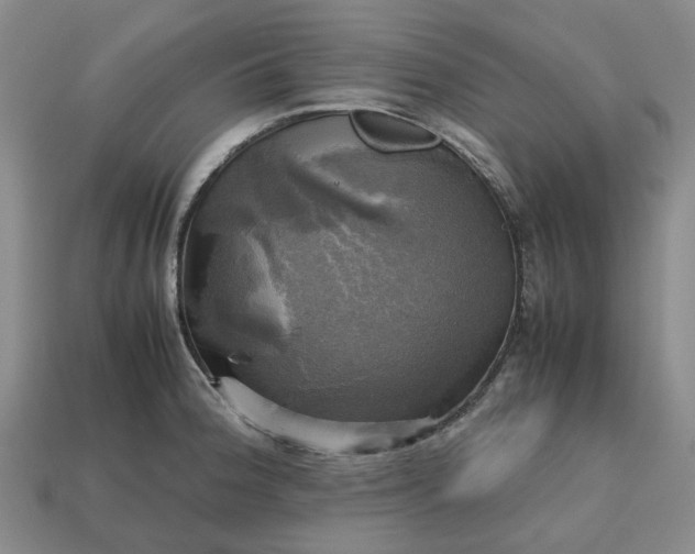 X0000112971188200909101647