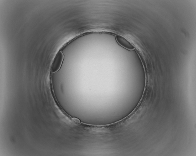 X0000112971189200909101647