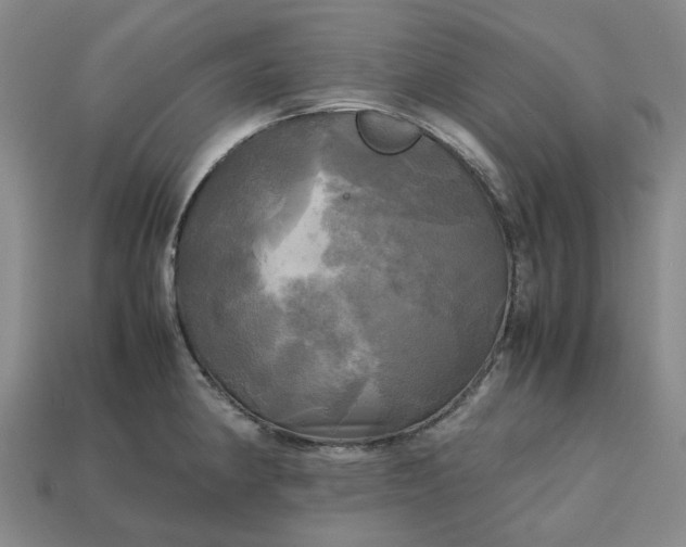 X0000112971190200909101647