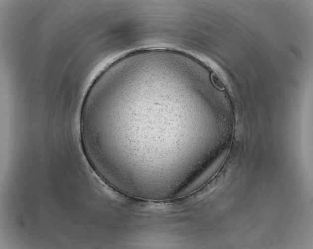 X0000112971191200909101647