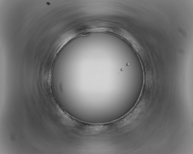 X0000112971193200909101647