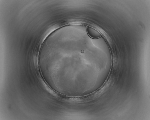 X0000112971194200909101647