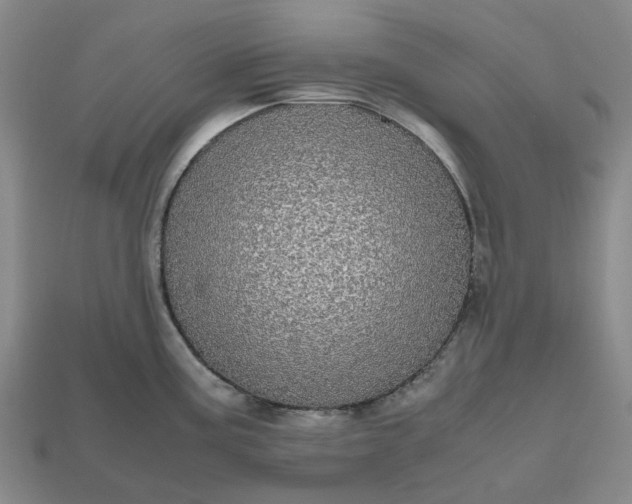 X0000112971195200909101646