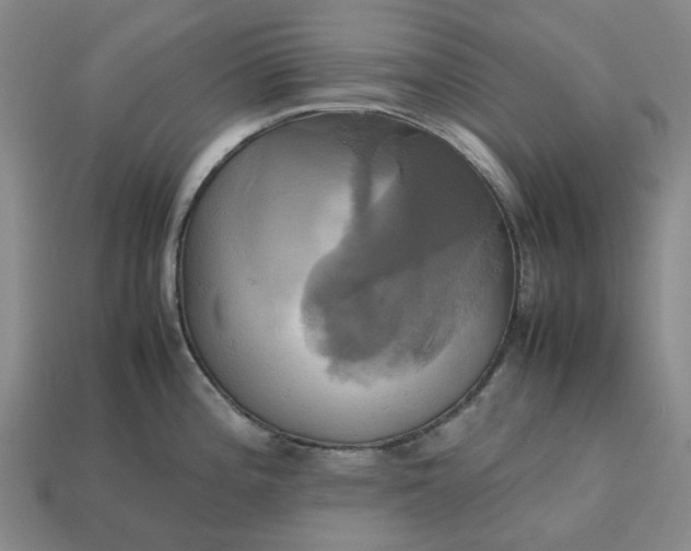 X0000112971196200909101646