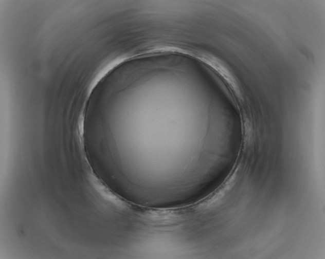 X0000112971198200909101646