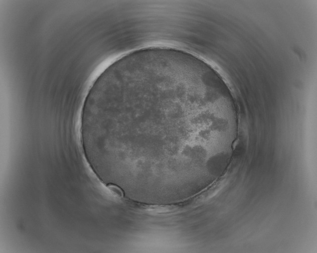 X0000112971199200909101646