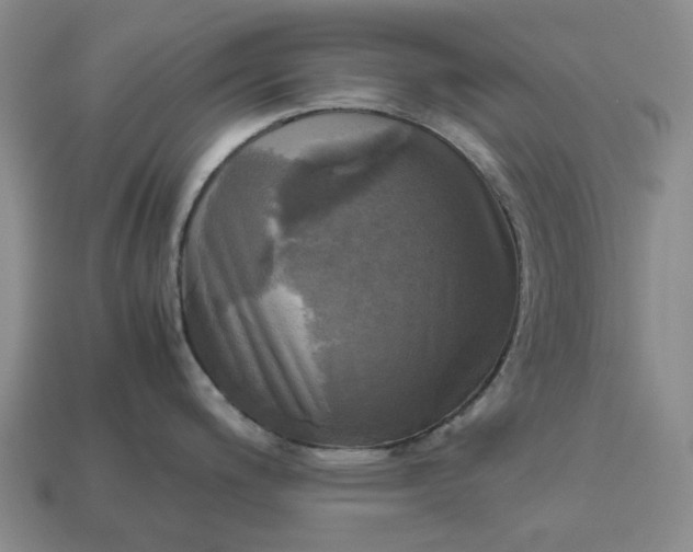 X0000112971200200909101646