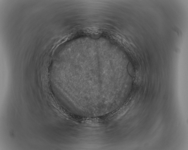 X0000112971201200909101646