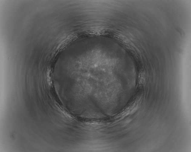 X0000112971202200909101646